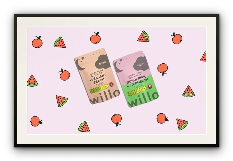 Willo · Brand Identity · Packaging