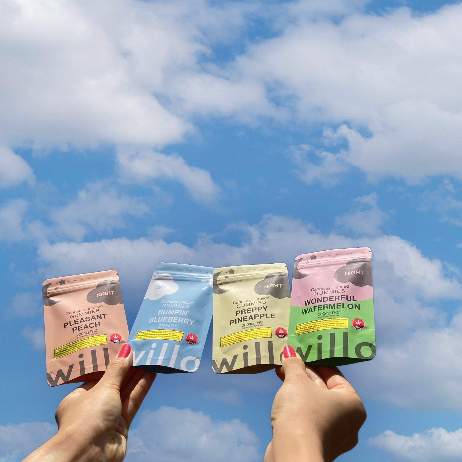 Willo packaging, square-format detail